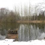 2013 - předjaří na rybníkách - 21