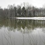 2013 - předjaří na rybníkách - 33